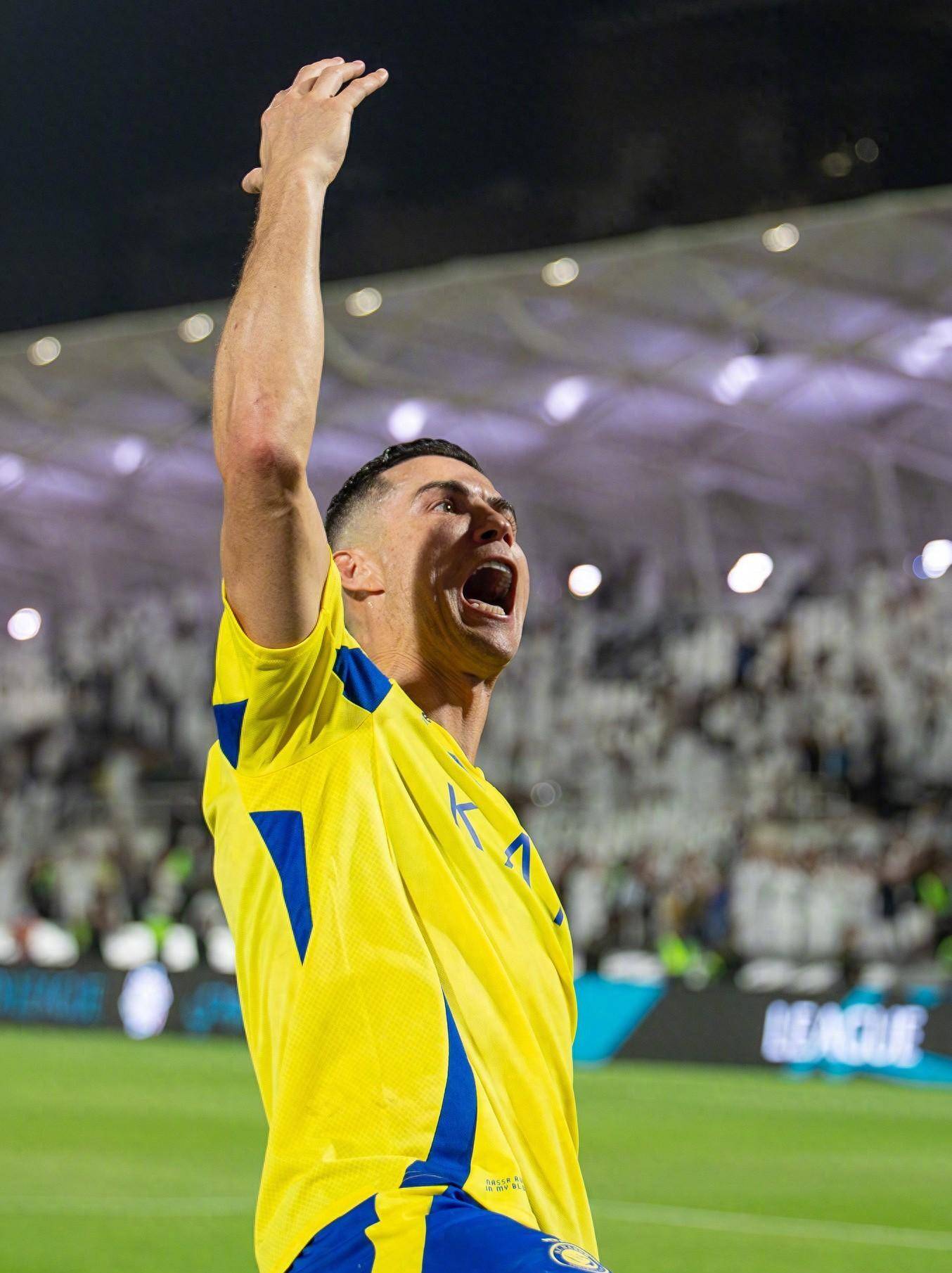 队和个体的 队和个体的